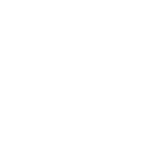 Deliveries Icon