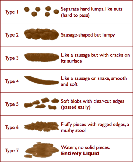 Bristol stool chart