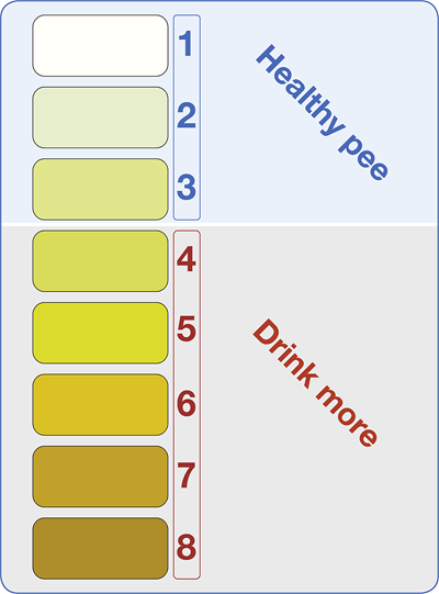 Urine colour chart