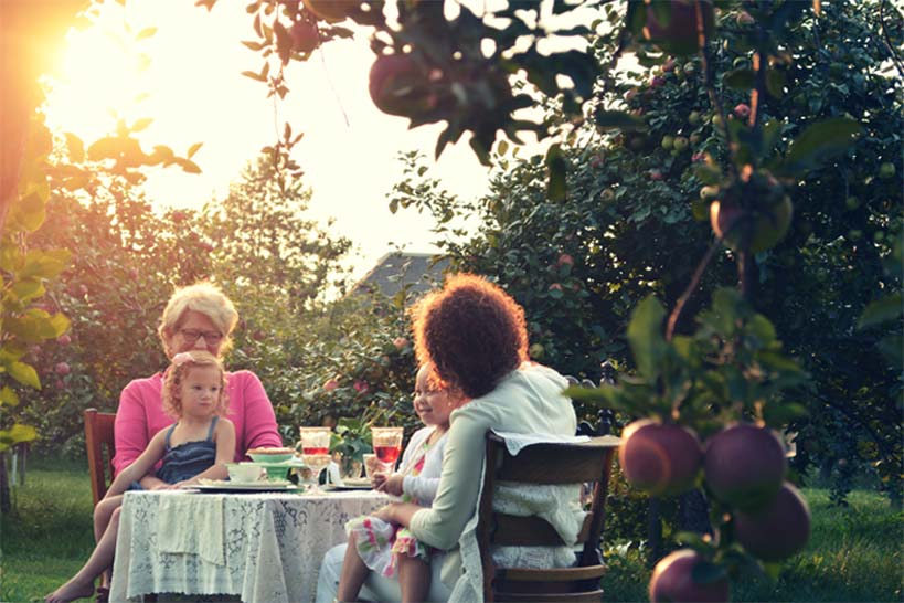 Family picnic